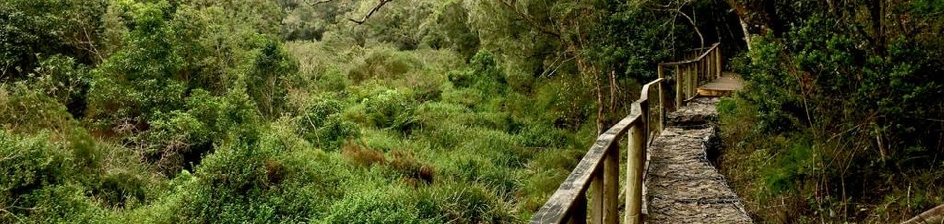 Wanderweg in der Natur